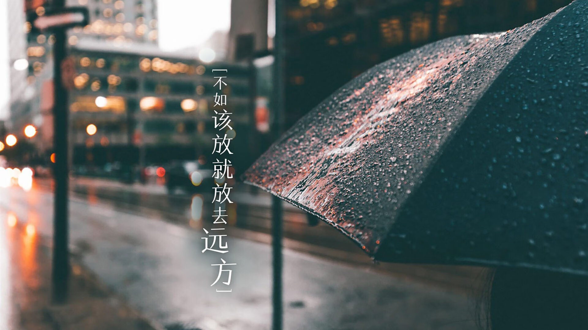_球迷全场助威：场边欢呼声此起彼伏_，球场球迷喊的什么