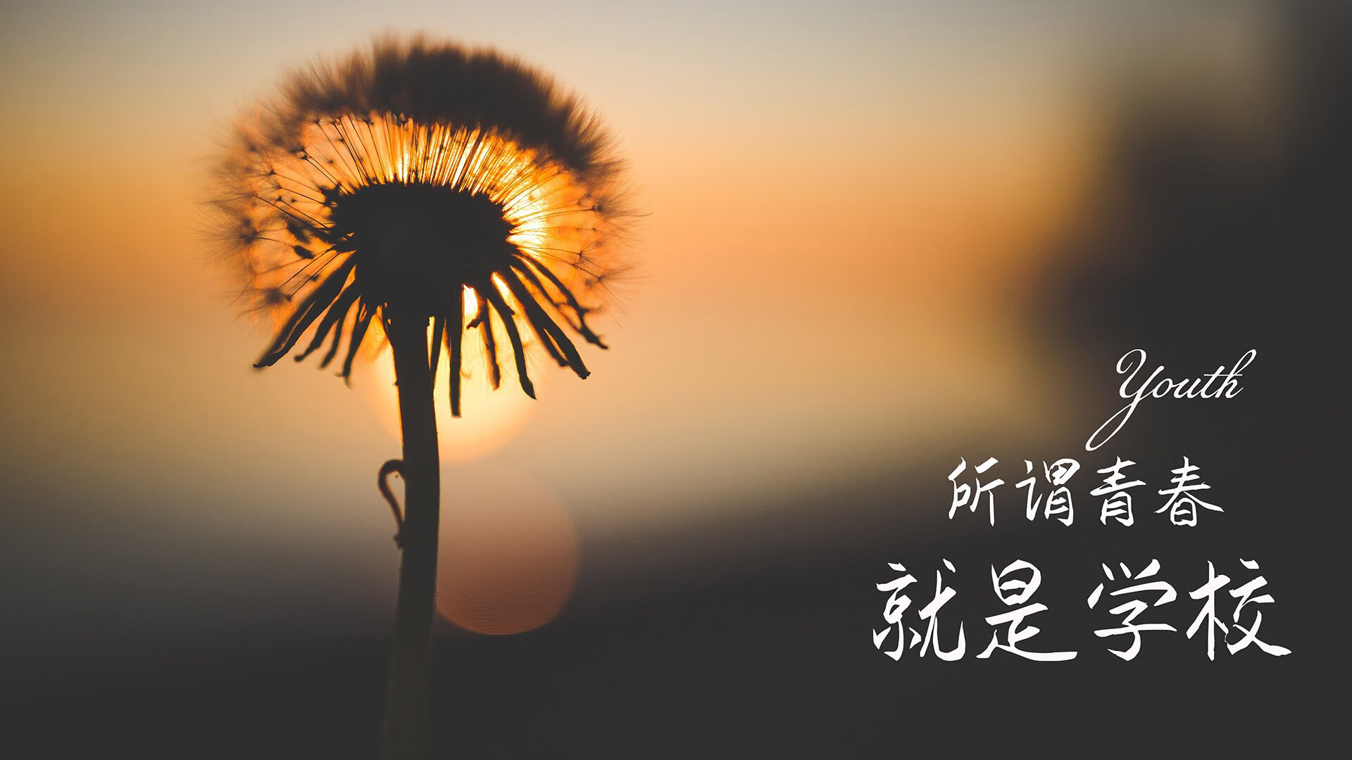 “足球+旅游”新业态在全国多个城市落地，打造运动旅游新高地，11种旅游新业态
