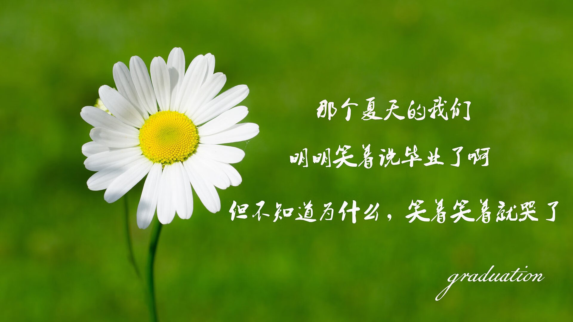 kaiyun官方网站-“青训机构开设新课程，注重技能与战术结合”，青训机构是什么