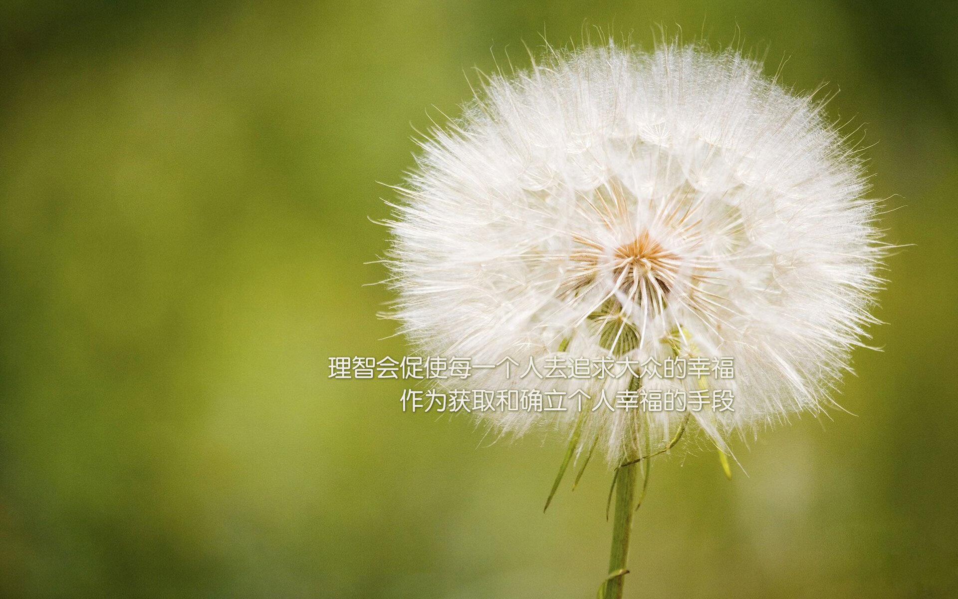开云官方网页登录-巅峰对阵：那些年你难忘的经典对决，巅峰对决最新排名