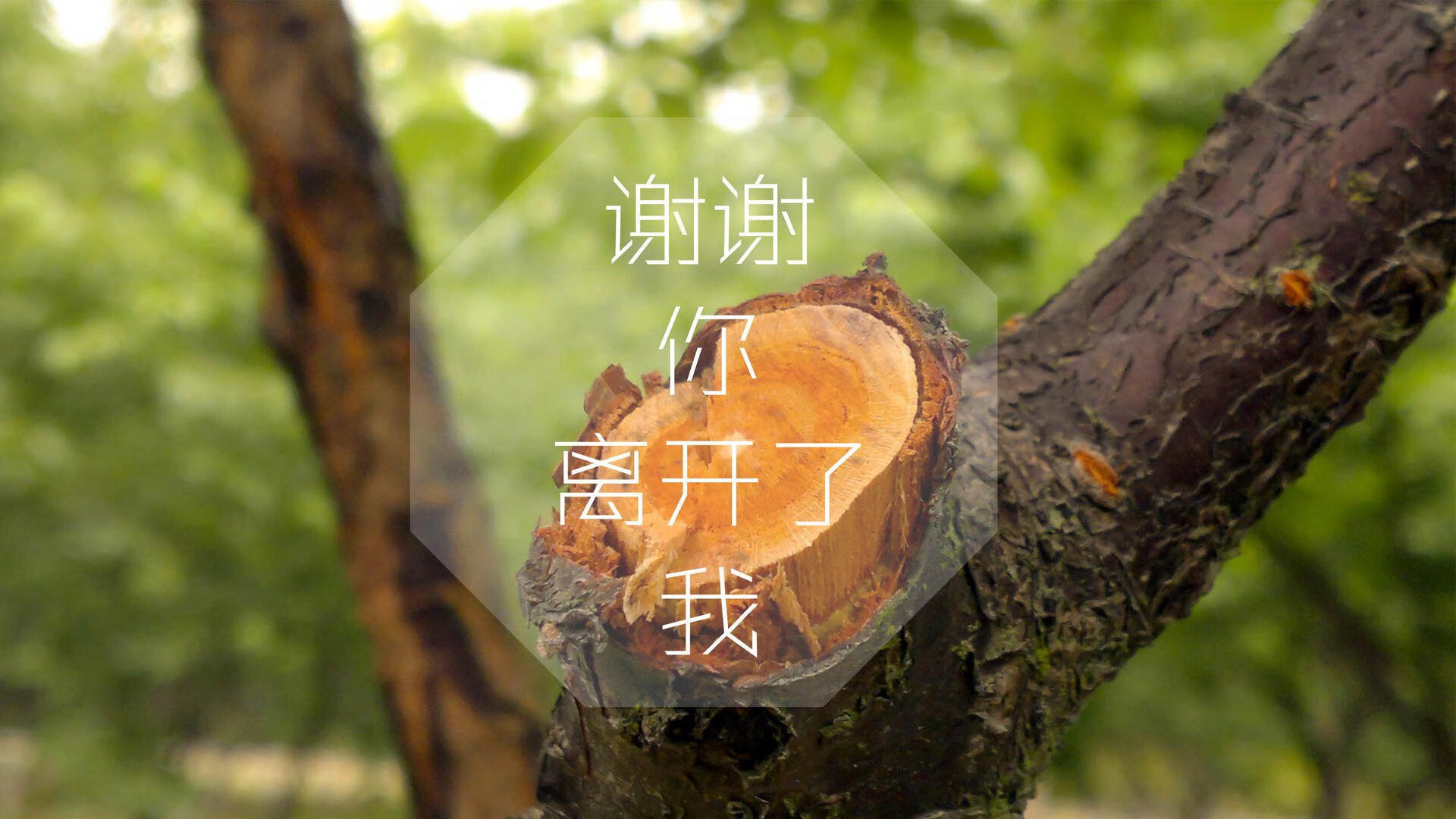 开云·体育官网-球队是否应定期披露财务公开报告，球队是否应定期披露财务公开报告呢