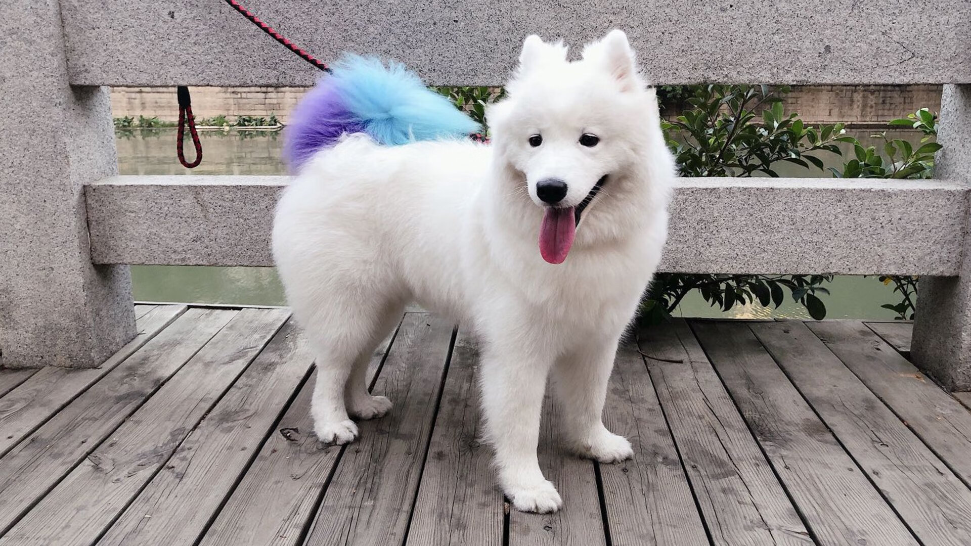 英超疯狂脚球：攻势凌厉让人窒息，英超read