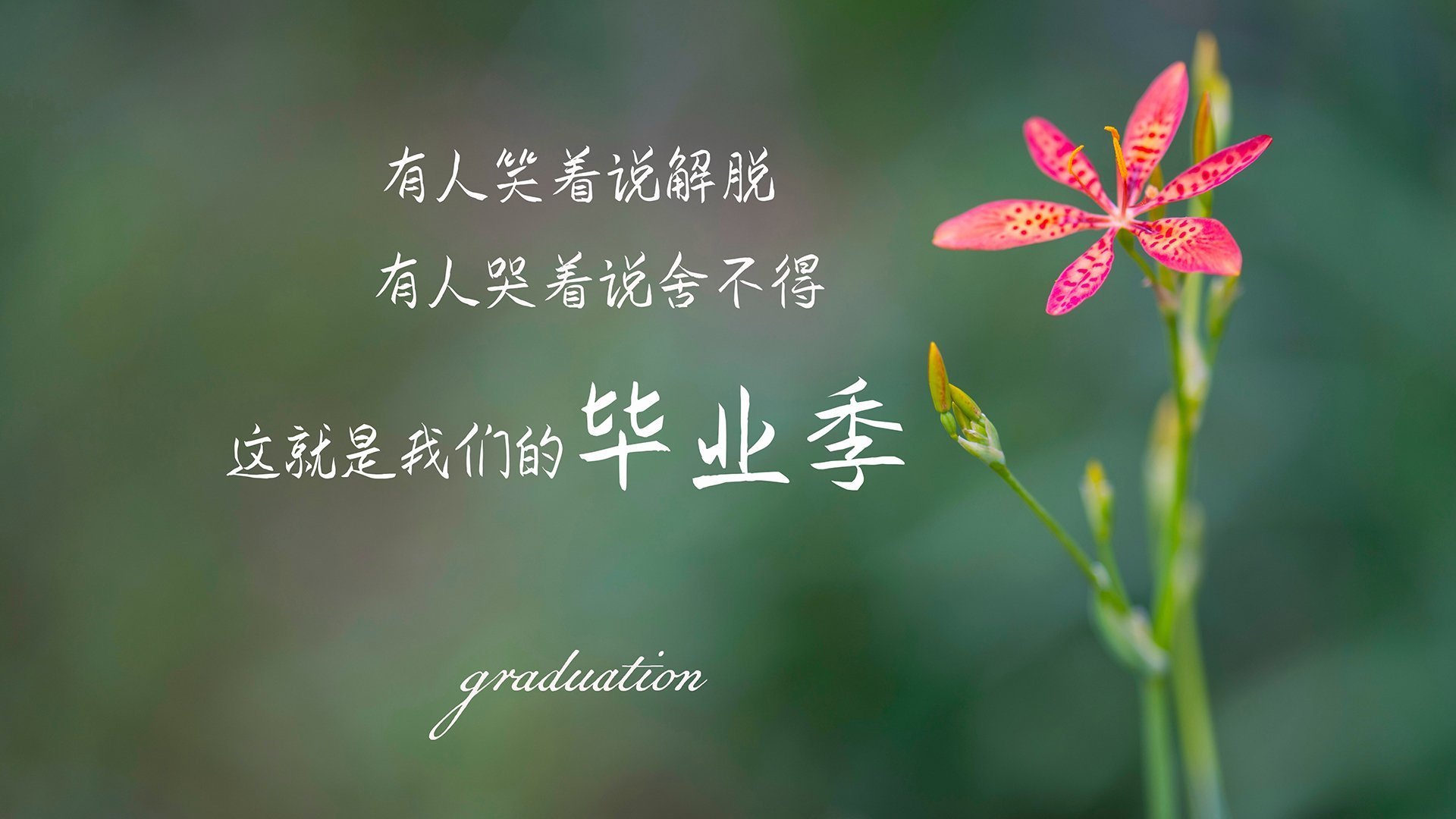 训练营组织球员战术竞赛提升场上沟通与协作能力,培养运动员战术运用能力 时,教练员应该如何要求