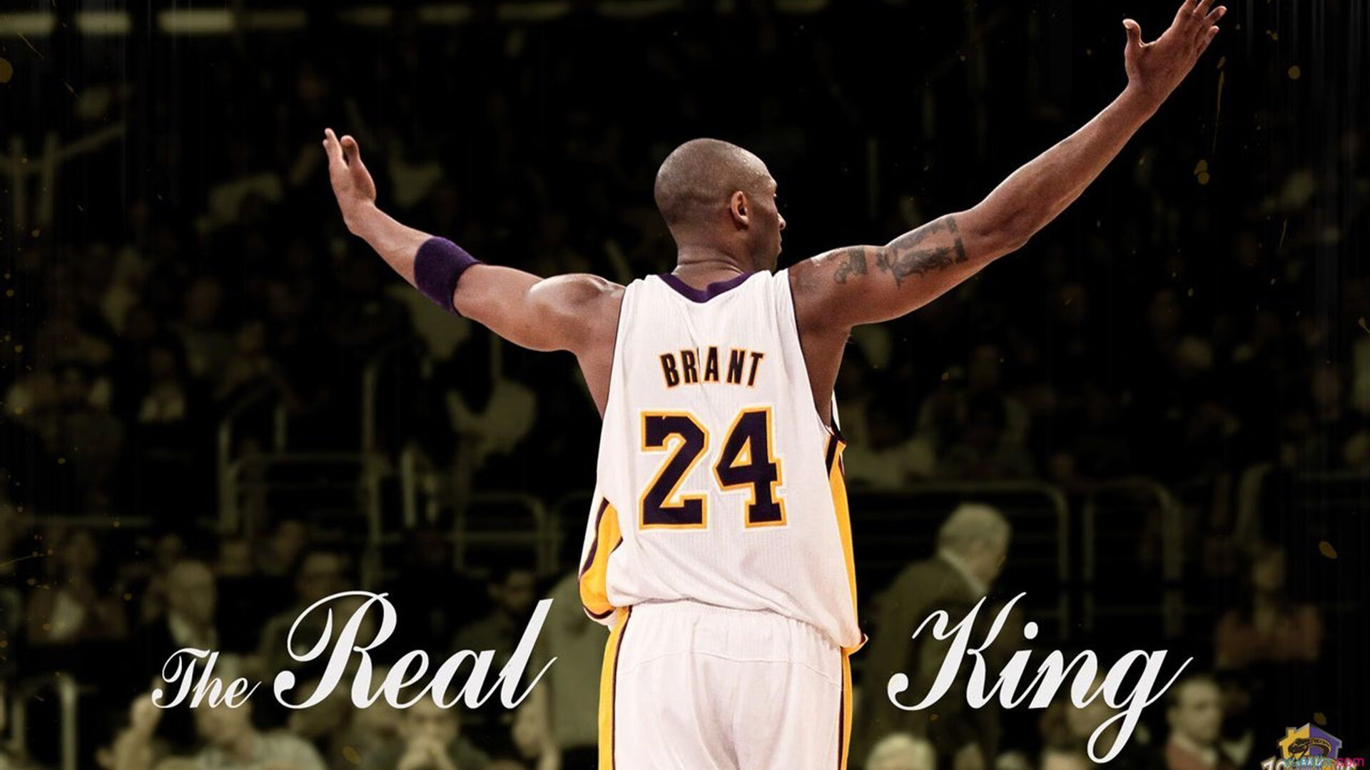 开云体育官方下载-赛前预测：Top专家对比赛的精彩点评，专家赛制